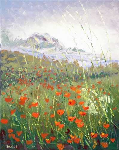 Coquelicots