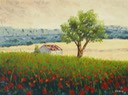 Les preferees de Monet