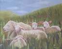Moutons