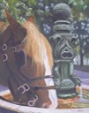 Noblesse (Cheval)