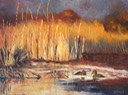 Petits canards